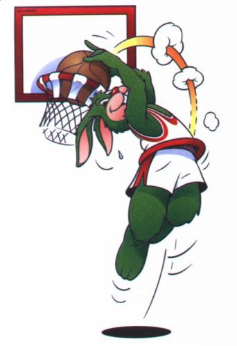 basket